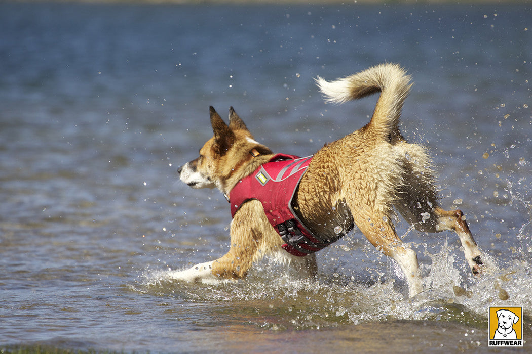 Gilet de sauvetage pour chien Float Coat™ (rouge)