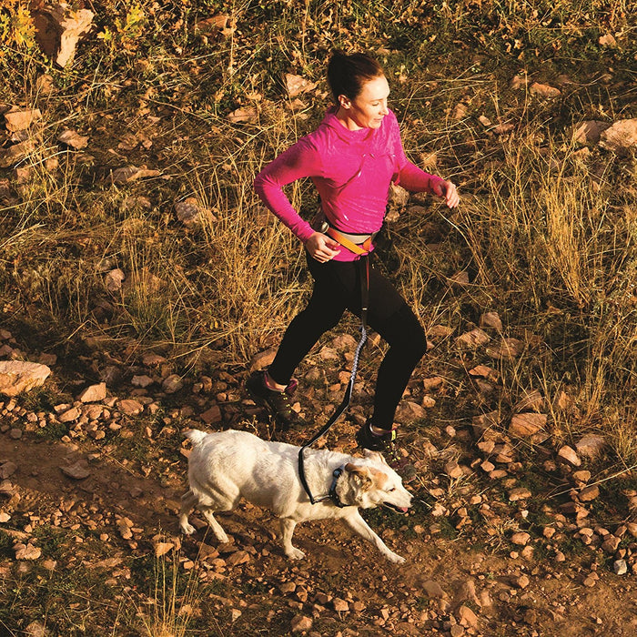 Springback Hundeleine zum Wandern und Laufen