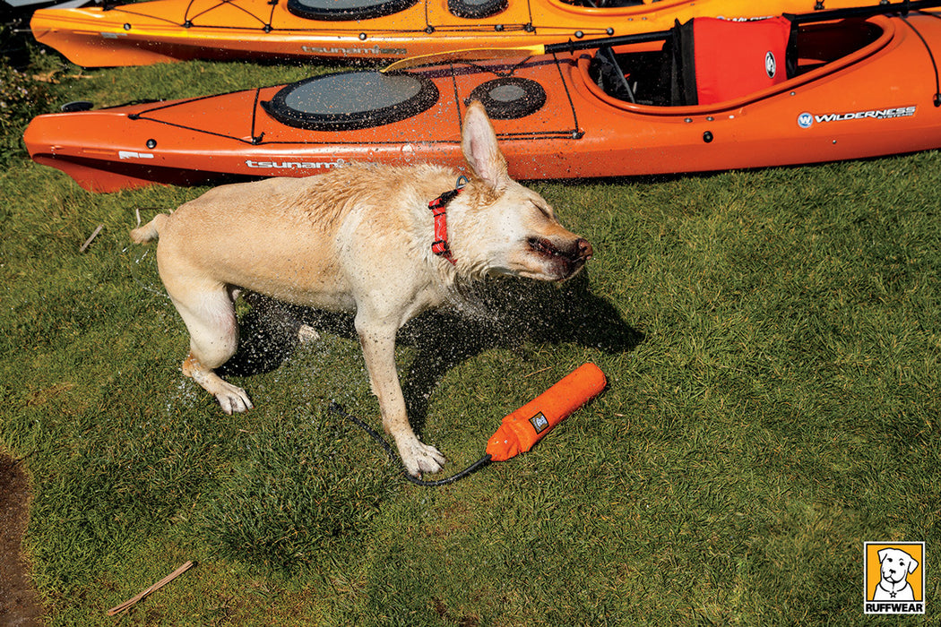 Lunker™ - Interaktives schwimmendes Hundespielzeug