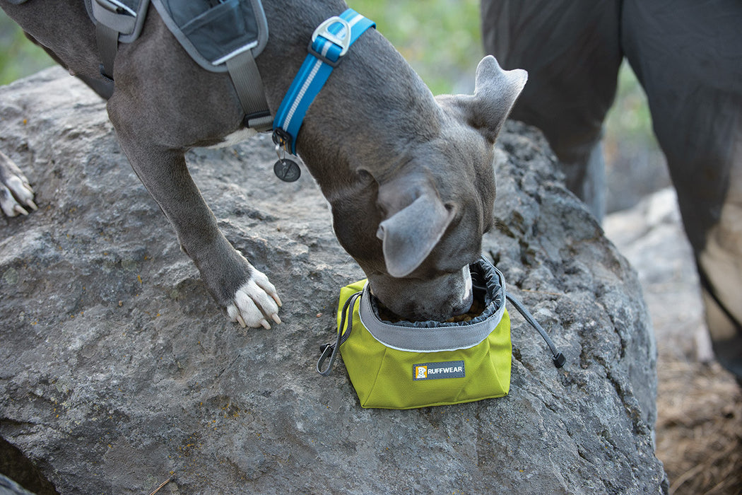 Quencher Cinch Top™ – Tragbarer Hundenapf (Pazifikblau)