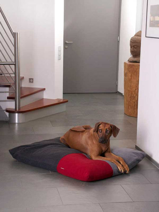 Divan Quattro Dog Bed (Red/Graphite/Grey)