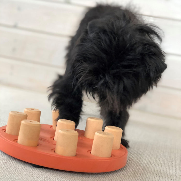 Nina Ottosson Hund Intelligentes zusammengesetztes Hundepuzzle