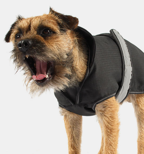 2-in-1 Dog Coat/Raincoat with Removable Inner Lining