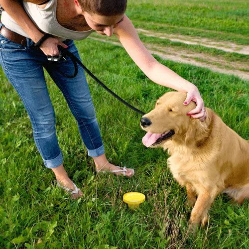 Aide au dressage pour chien d'extérieur Pee Post® Simple Solution
