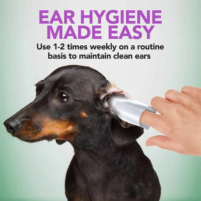Canosept Ear Care Fingerpads für Hunde (50 Stück)