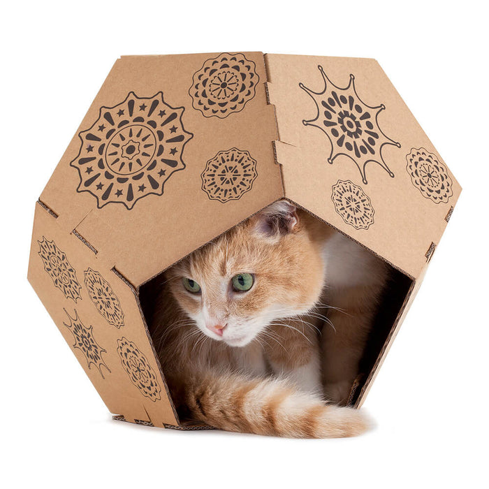 Katze in der Kiste (Tiger)