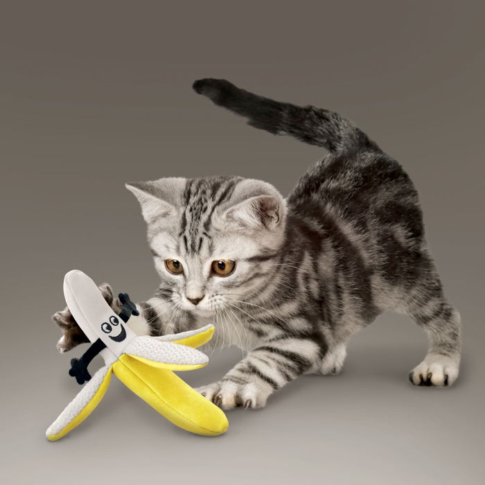 Kong Better Buzz Banane mit Katzenminze