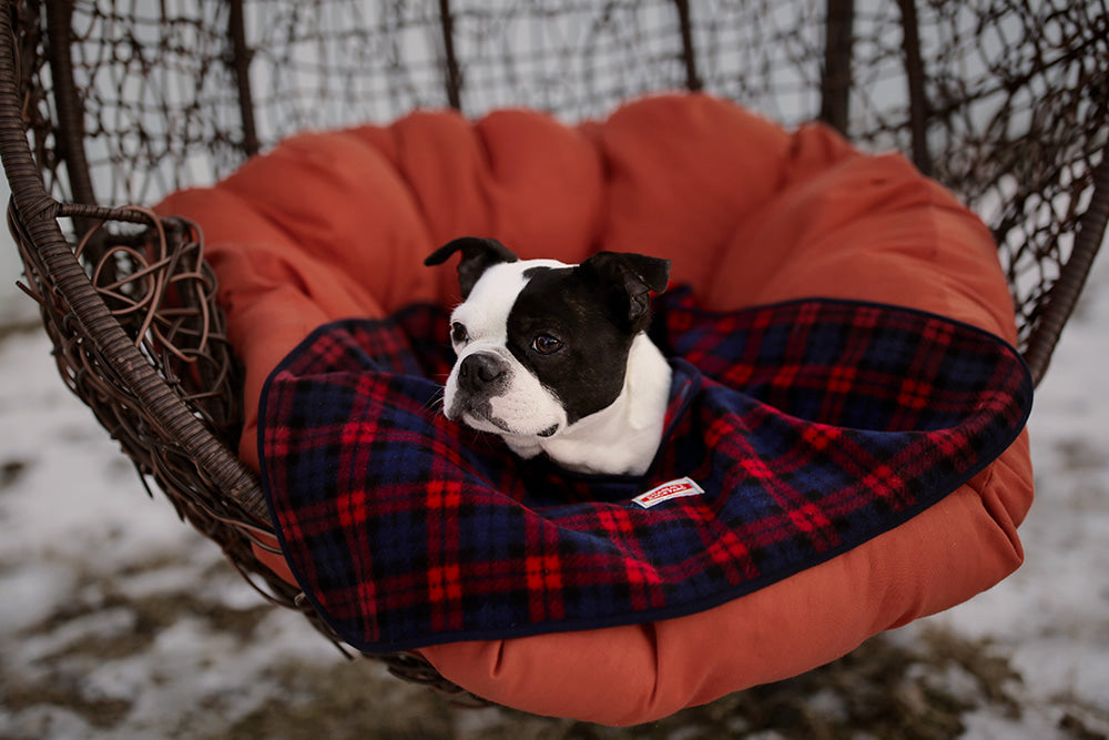 Camp Dog Blanket (Red)
