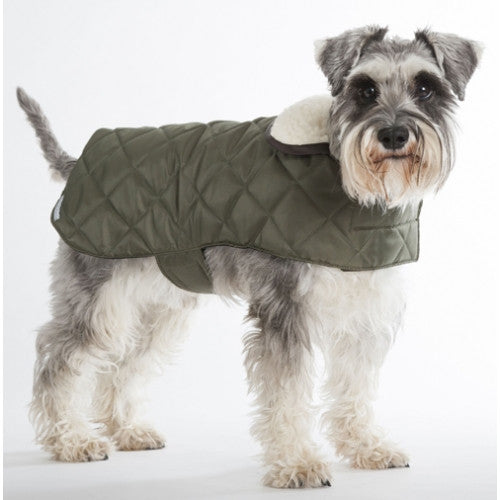 Manteau matelassé pour chien (Olive)