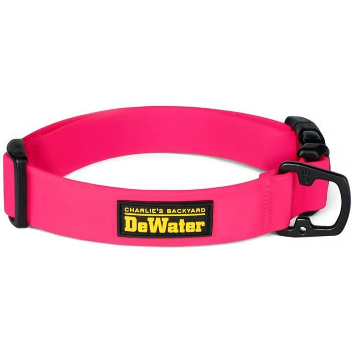 Charlie's DeWater Dog Collar