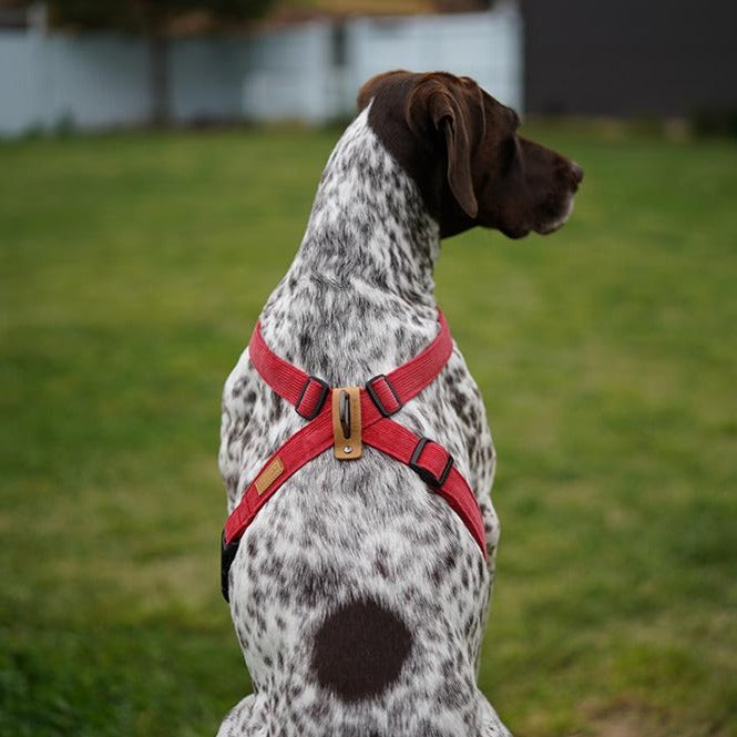 Charlie's Field-X Dog Harness