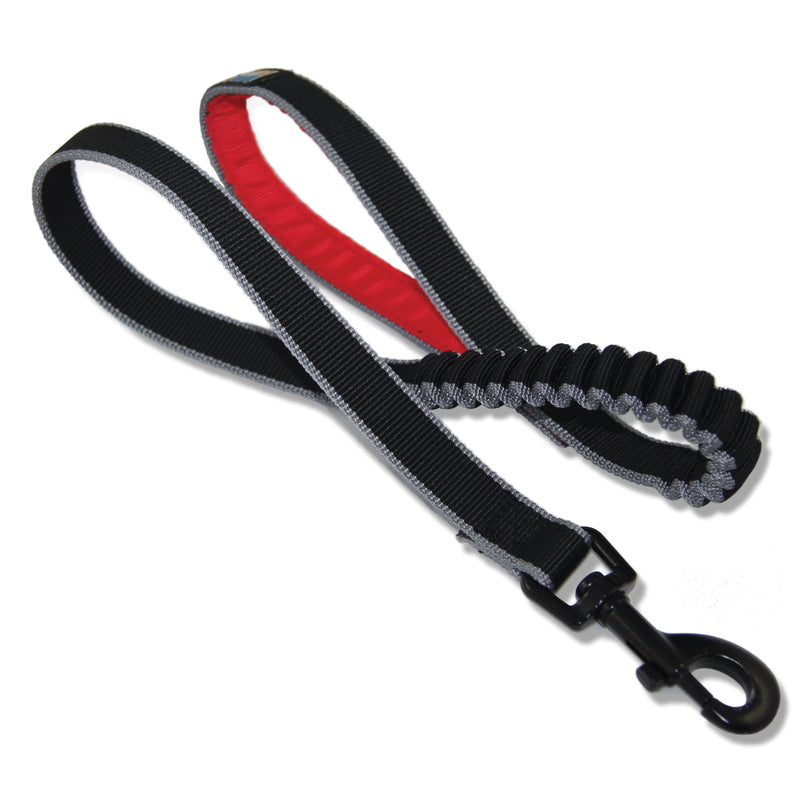 Springback Dog Lead for Hiking and Running