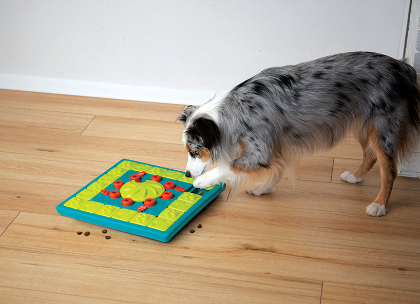 Nina Ottosson Jeu de chien multi-puzzle