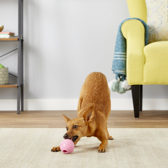 Kong Puppy Ball with Hole (Pink)