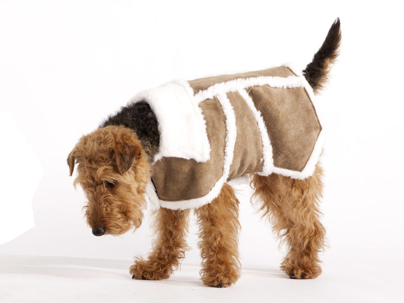 Manteau pour chien en cuir Sherpa (marron)
