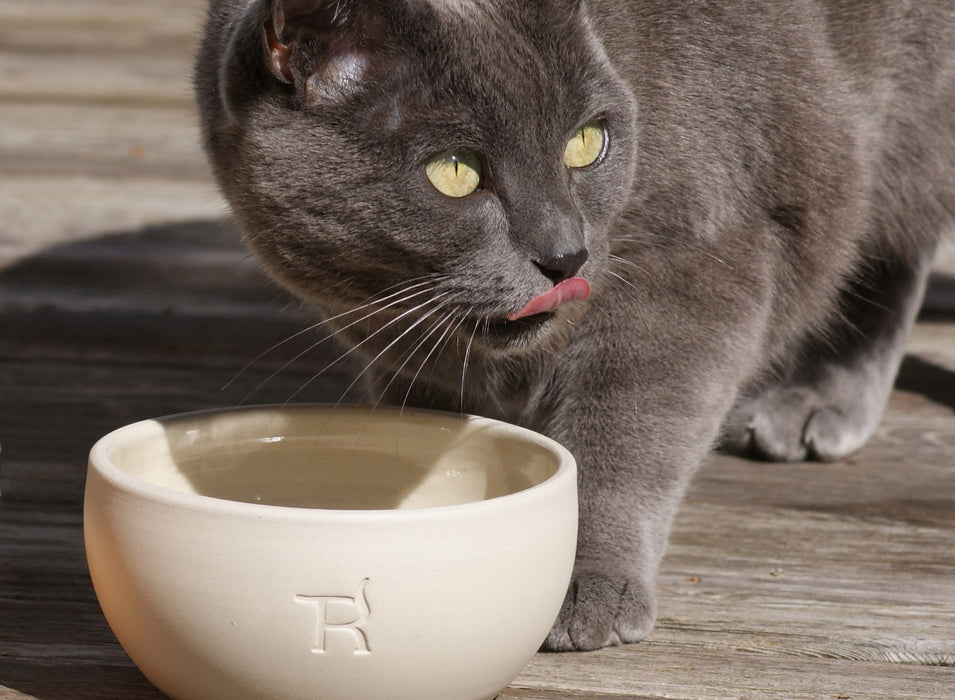 Ceramic Cat Bowl Pur (Natural)