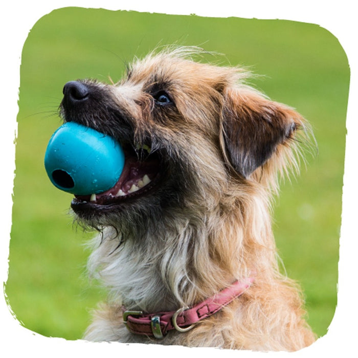 Beco Rubber Ball Hundespielzeug (Blau)