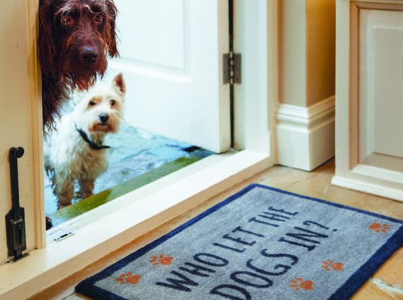 Washable, Anti-Bacterial Non Slip Doormat ('Who Let The Dogs In?')