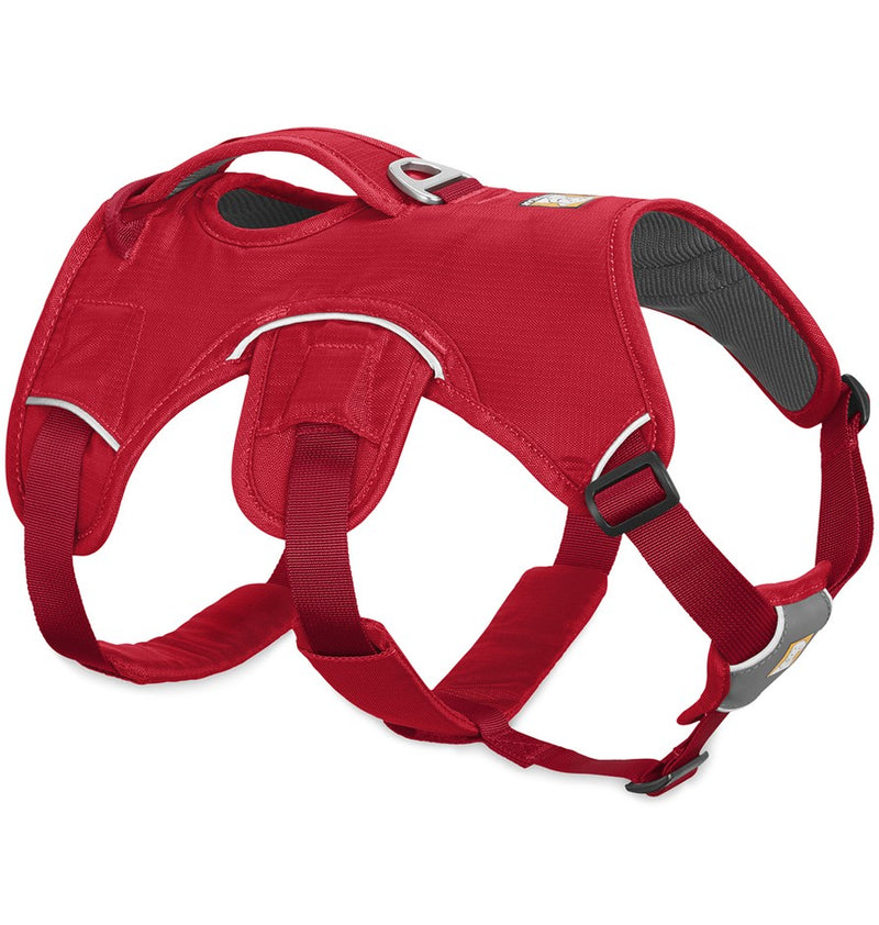 Web Master™ Dog Harness (Red Currant)