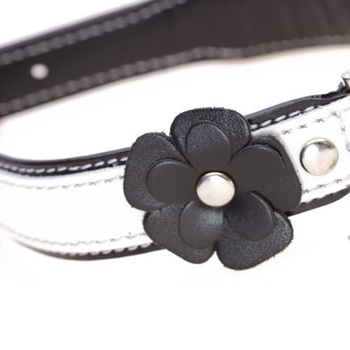 Collier de chien fleur noir