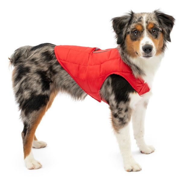 Loft Dog Jacket Water-resistant & Reversible