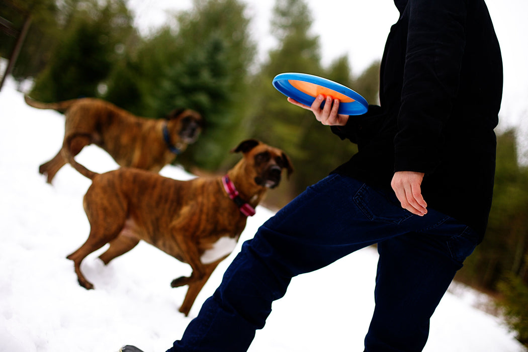 Orbee-Tuff® Zoom Flyer Hundespielzeug (Orange/Blau)