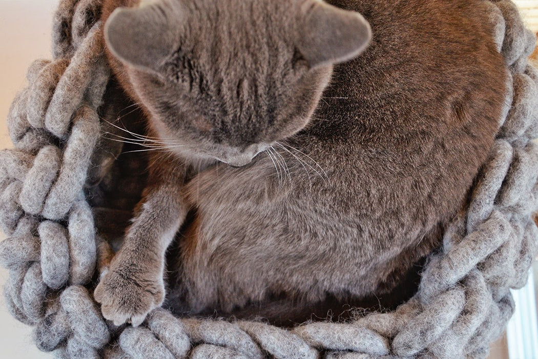 Katzenkorb aus Wolle (Creme)